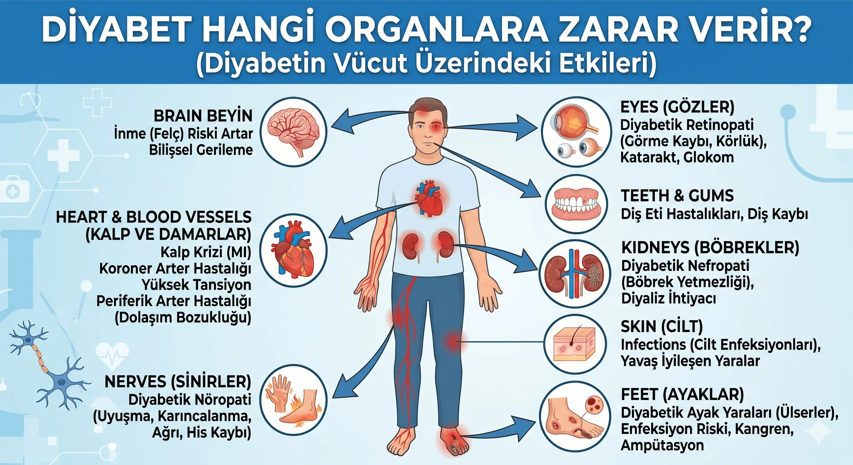 Diyabet Hangi Organlara Zarar Verir?