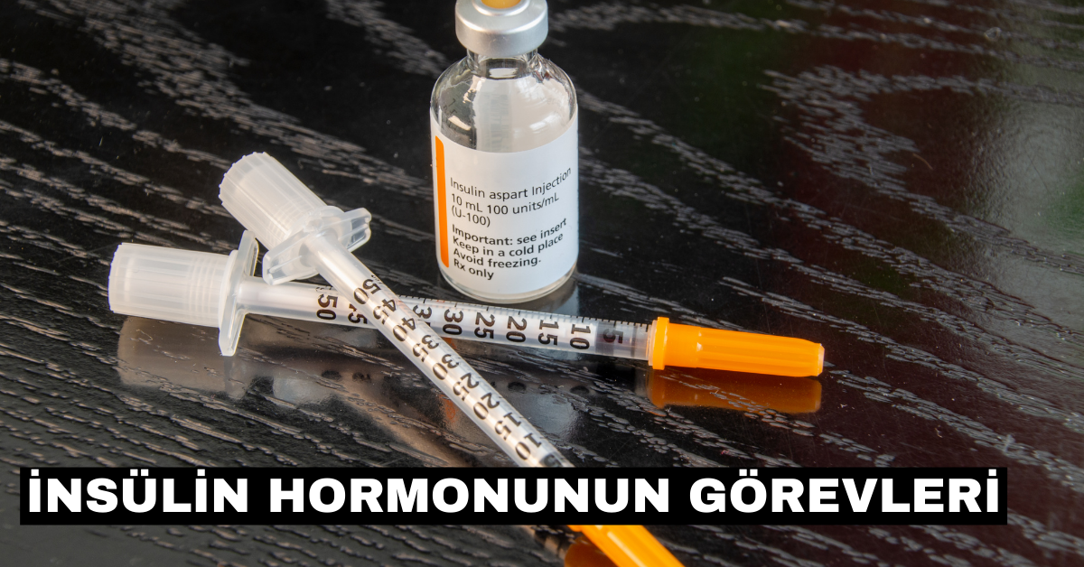 İnsülin Hormonunun Görevleri